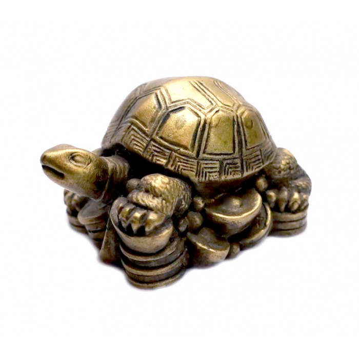 Turtle on coins bronze color