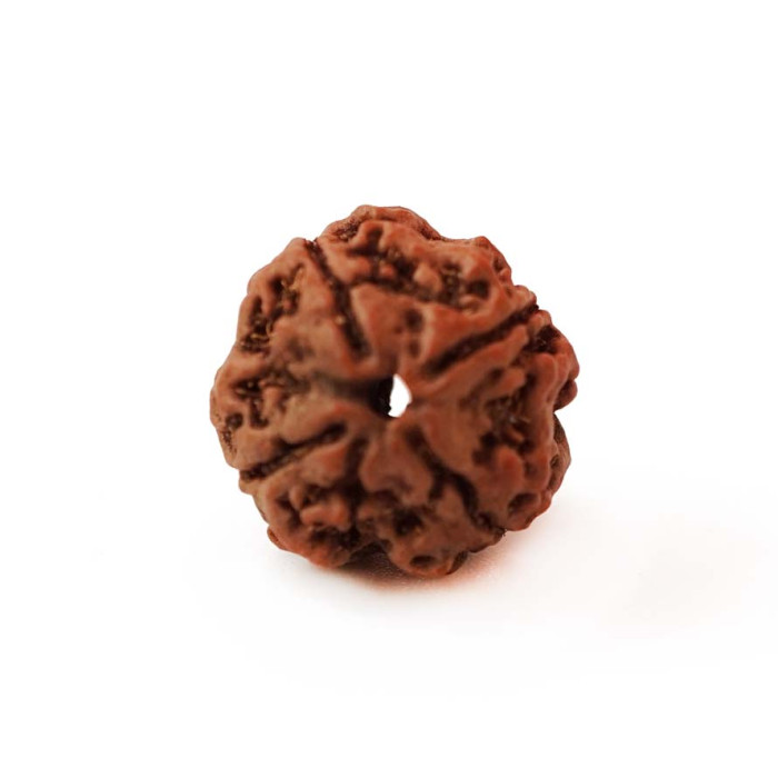 Rudraksha bead 4 faces