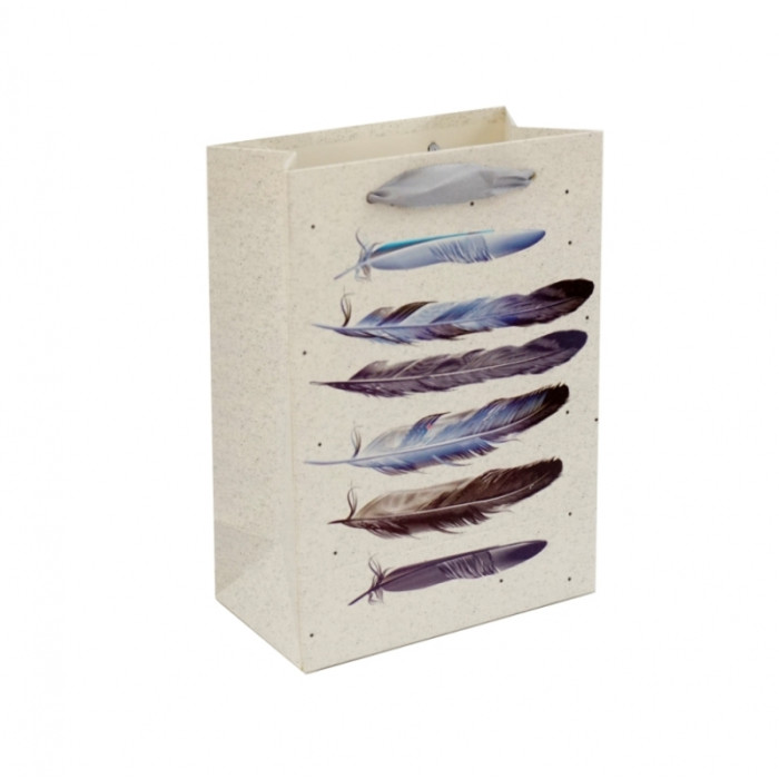 Gift cardboard package Feathers No. 3