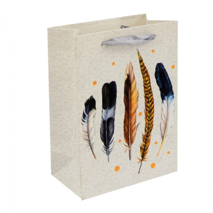 Gift cardboard package Feathers No. 2