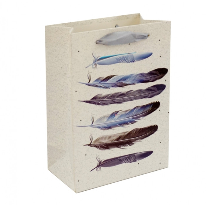 Gift cardboard package Feathers No. 3