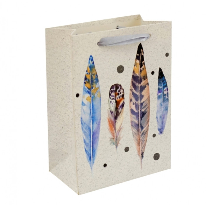 Gift cardboard package Feathers No. 4