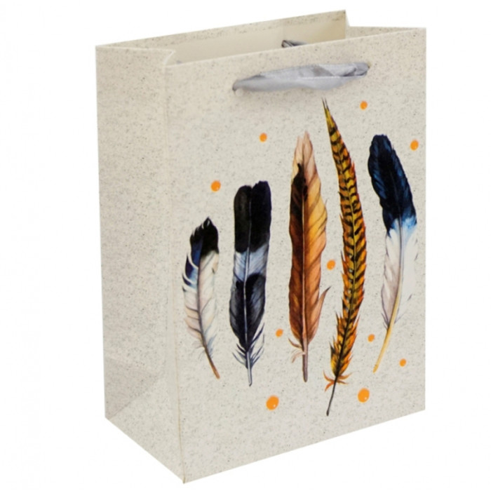 Gift cardboard package Feathers No. 2