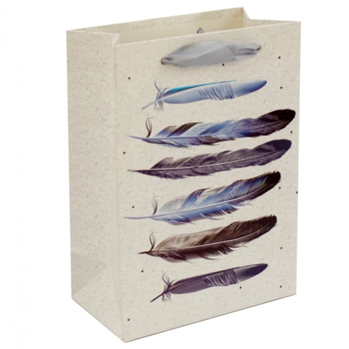 Gift cardboard package Feathers No. 3