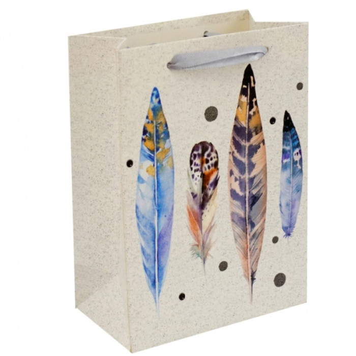 Gift cardboard package Feathers No. 4