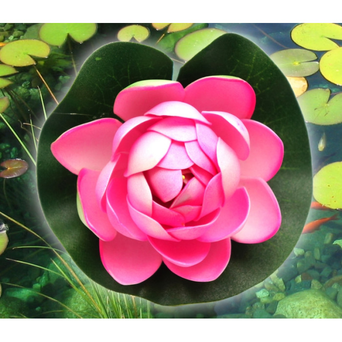 Decorative Lotus Pink small