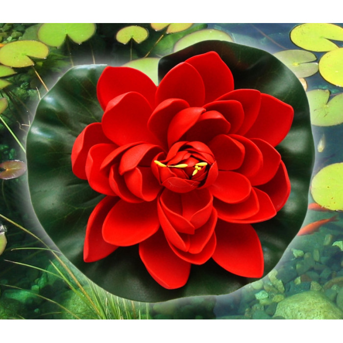 Decorative Lotus Red Medium