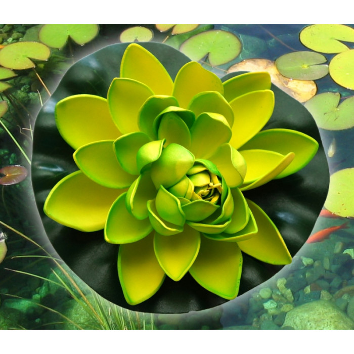 Decorative Lotus Light green medium