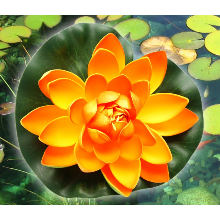 Decorative Lotus Orange Medium