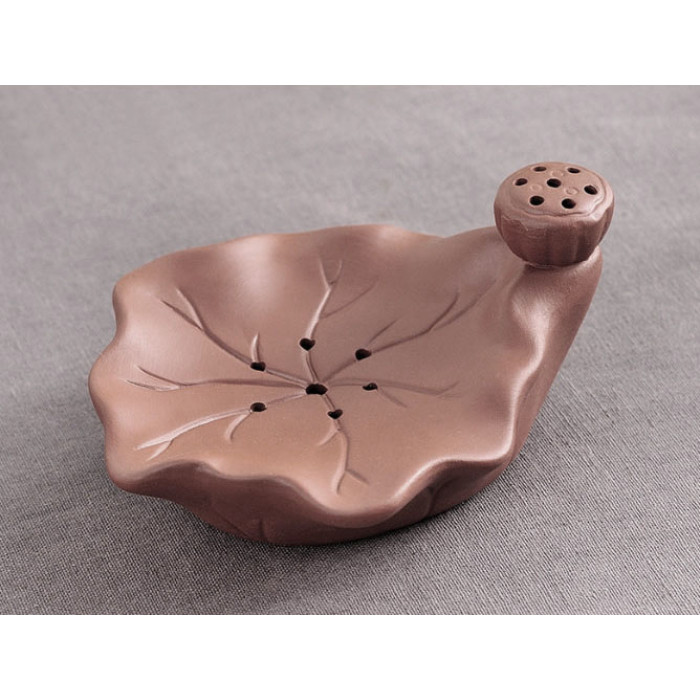 Chaban Lotus leaf brown