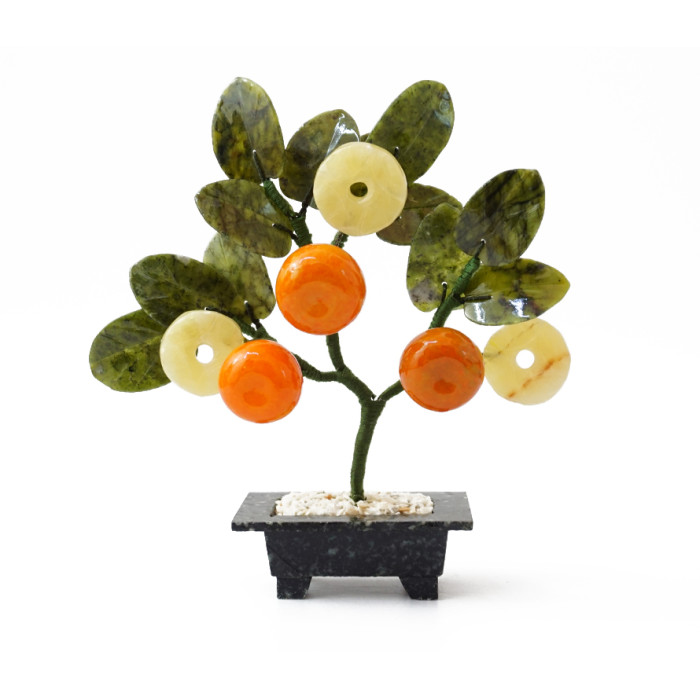 Tree 3 tangerines + 3 coins