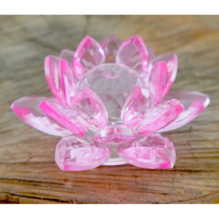 lotus colored glass pink