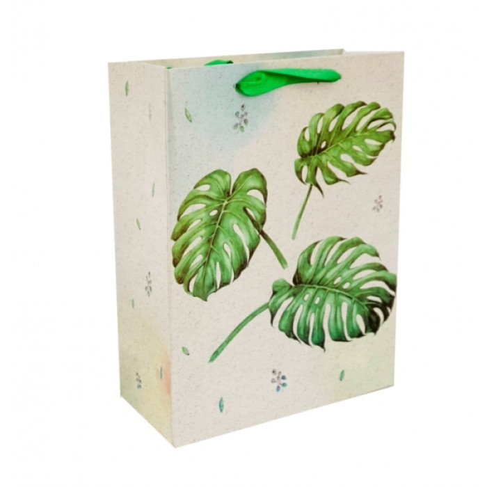 Gift cardboard package Leaves No. 1