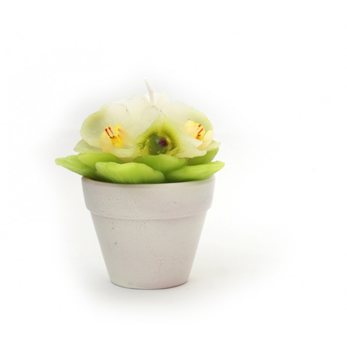 Candle in a ceramic pot Violet white