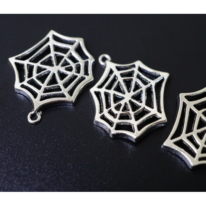 Amulet in the wallet Cobweb for silver 10 pieces