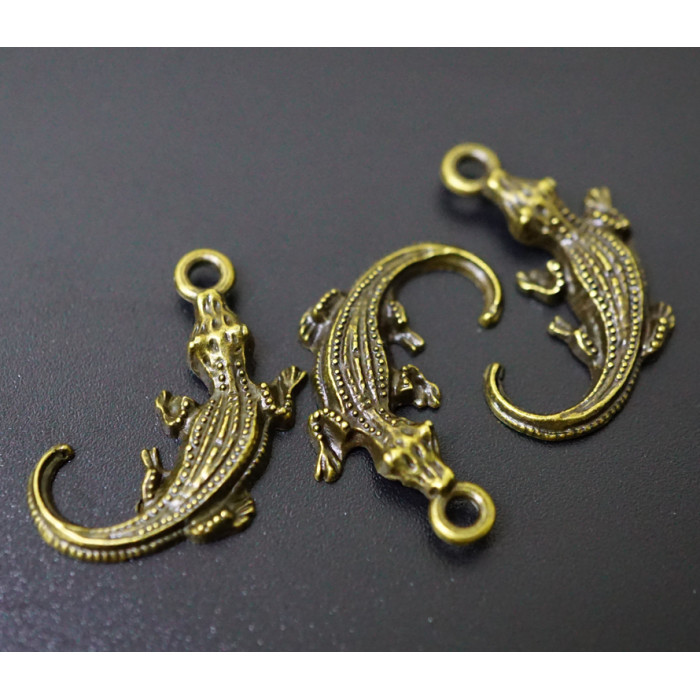 Amulet in the purse Lizard in bronze 10 pieces