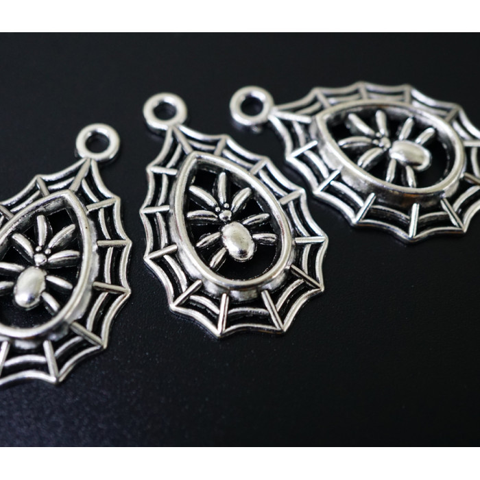 Amulet in the wallet Spider web with a spider in silver 10 pieces