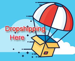  Dropshipping